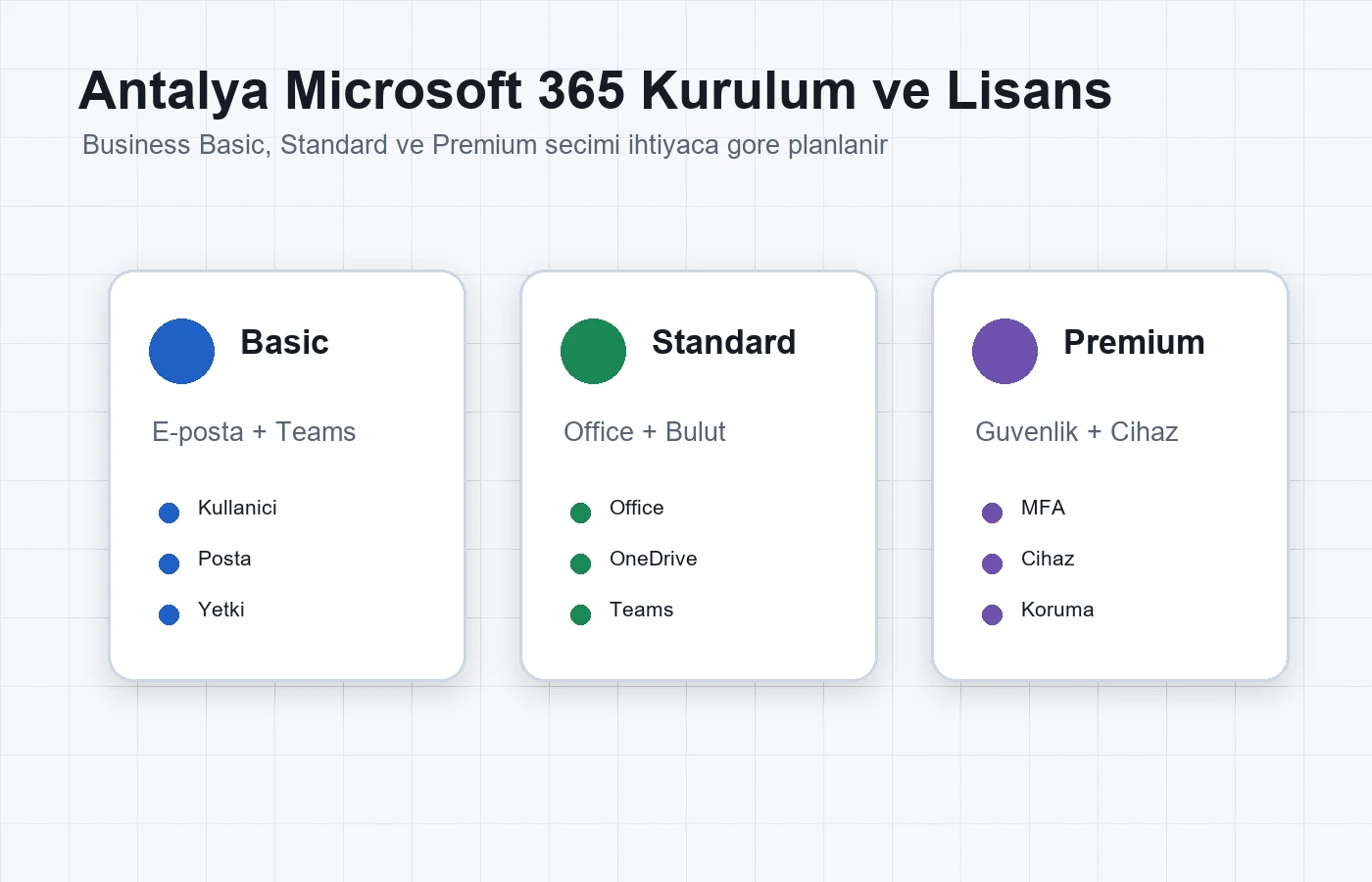Antalya Microsoft 365 lisanslama ve kurulum danışmanlığı
