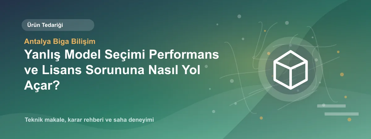 Yanlış Model Seçimi Performans ve Lisans Sorununa Nasıl Yol Açar? - Antalya Biga Bilişim teknik makale görseli